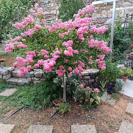 Nyaraló Mediterra Messinia